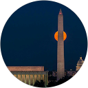 Steve D profile picture